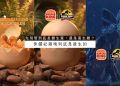 先別管到底是雞生蛋，還是蛋生雞? 侏儸紀雞塊到底是誰生的啦!